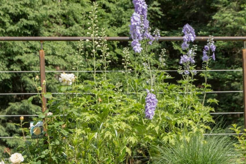 Chalet mit Sauna - foto 30