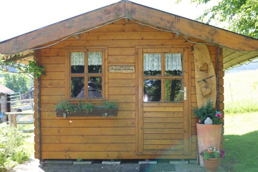 33537 - foto 11