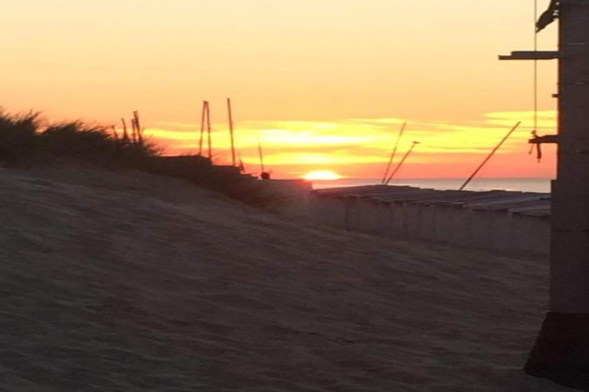 Fort den Haak - Chalet 1 tm 5  hond - foto 25