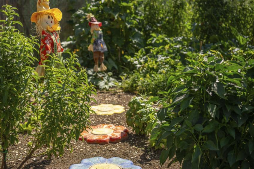 'Hortus la azurra' - foto 18