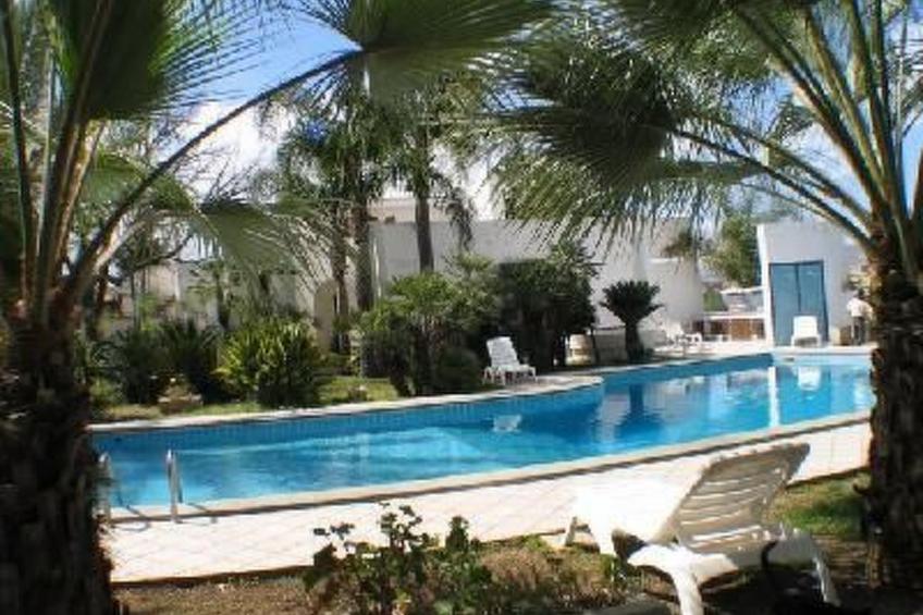 Cuore di Palme Bilo - foto 3