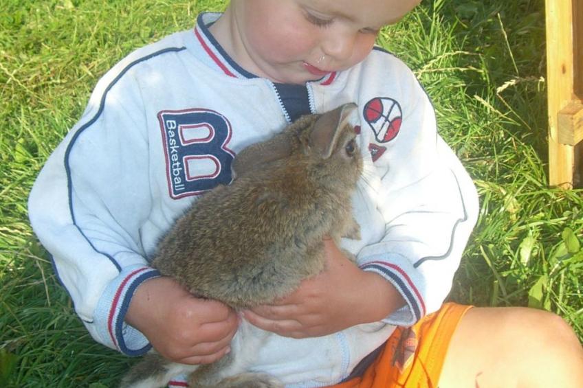 Kompatscherhof - foto 7