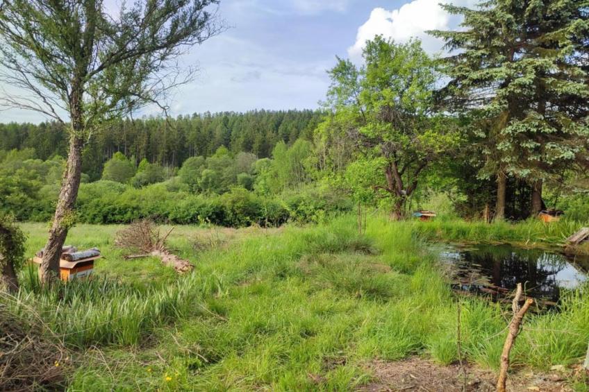 Vakantiepark de Tabaksschuur 4 - foto 15