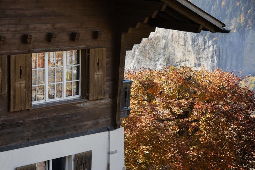 Drei Tannen - foto 23