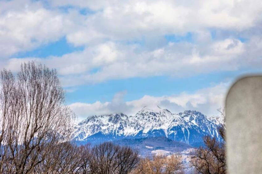 | The Precious - foto 36