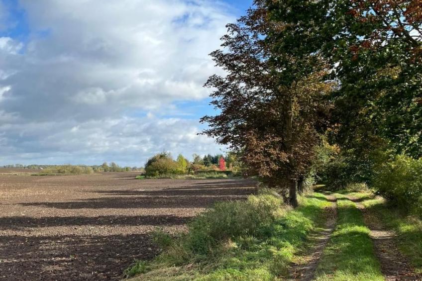 Landurlaub Mecklenburgische Seenplatte b. Waren Müritz - foto 31
