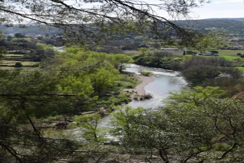 APPARTEMENT LES BROUSSES/LINDE - foto 28