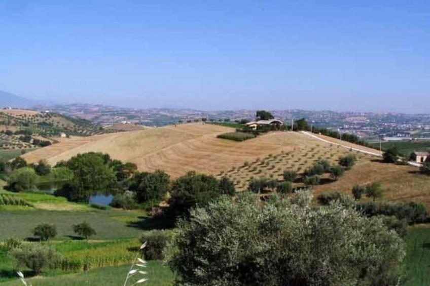 in Notaresco mit Grill und Garten - foto 7