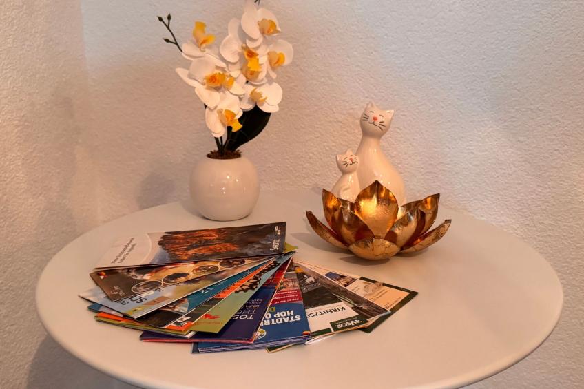 FeWo- Monteurwohnung - foto 15