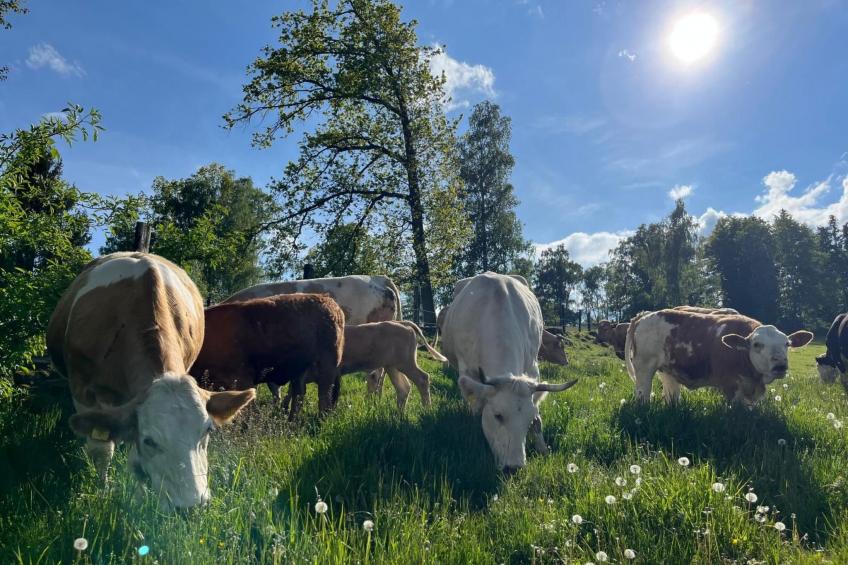 Wandlhof Ferienwohng - foto 6