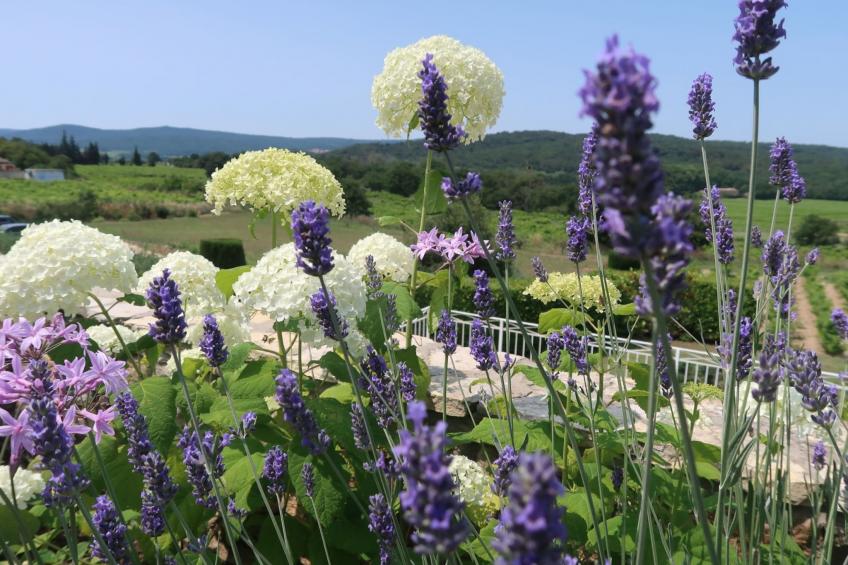 Lebensfreude - foto 9