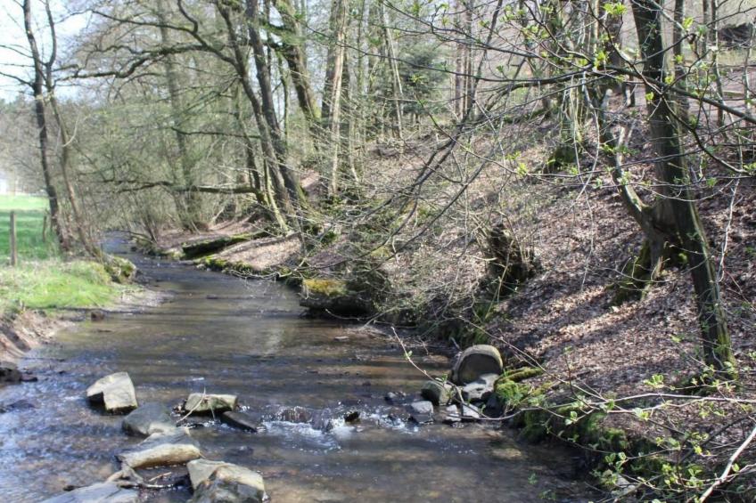 "zum Eifgental" - foto 21