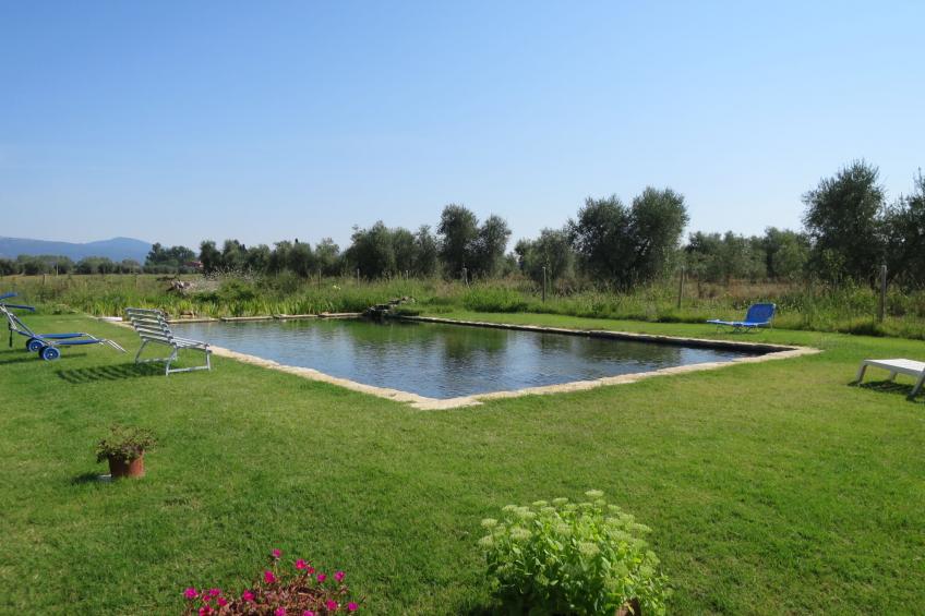 Agriturismo Podere Noé (ROC420) - foto 27