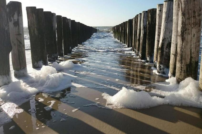 Rêve d'île - foto 37