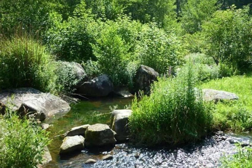 Idealer Erholungsort - foto 7