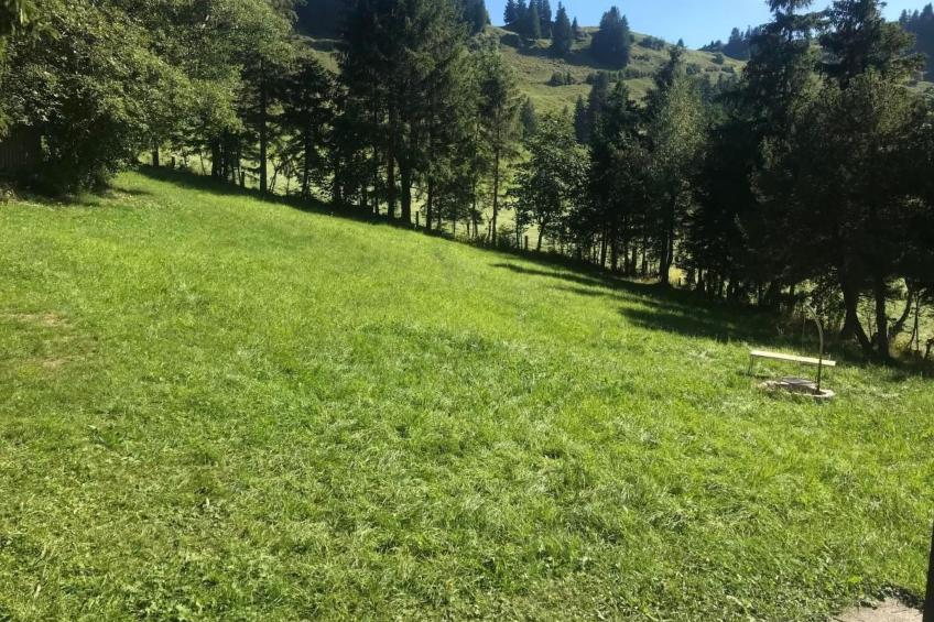 Soldanella - foto 23