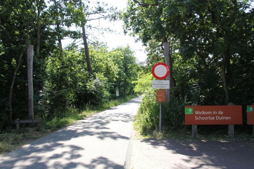 Kleine Nachtegaal - foto 34