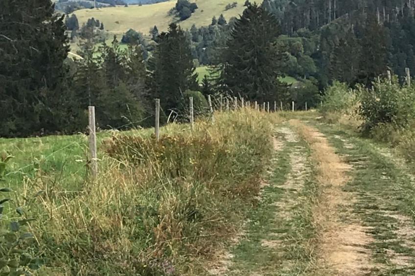 Haus Sonnenschein - foto 35