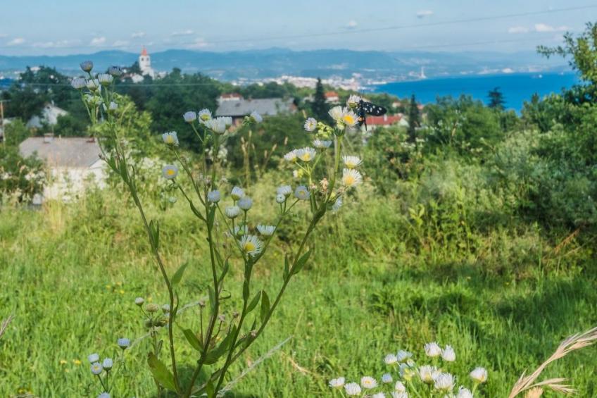für 2 Personen ca. 50 m² in Rukavac, Kvarner Bucht (Gespanschaft Primorje- - foto 31