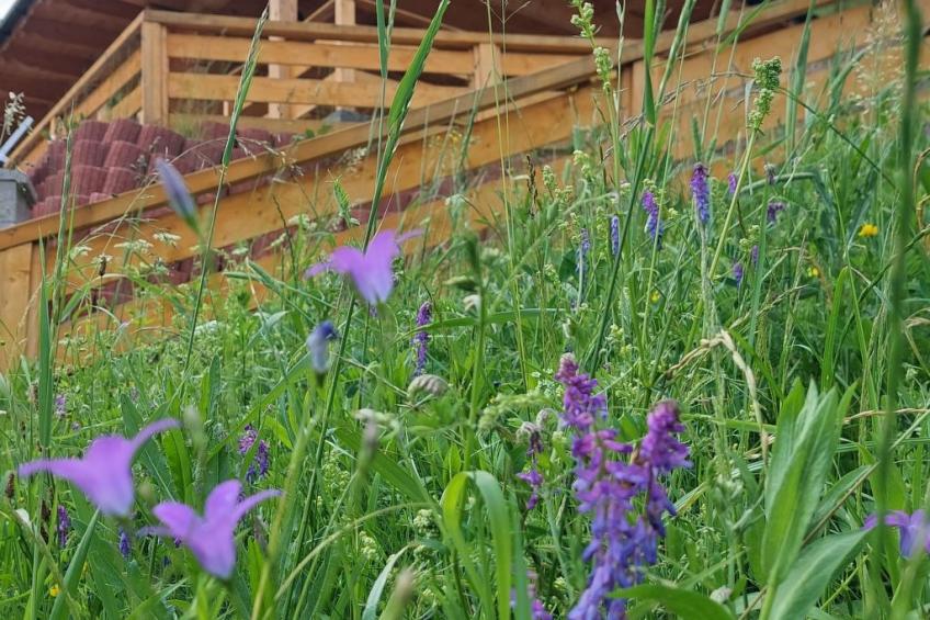 Martina B - Ždiar - foto 30