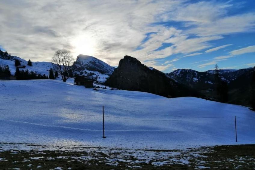 Gsässweid - foto 15