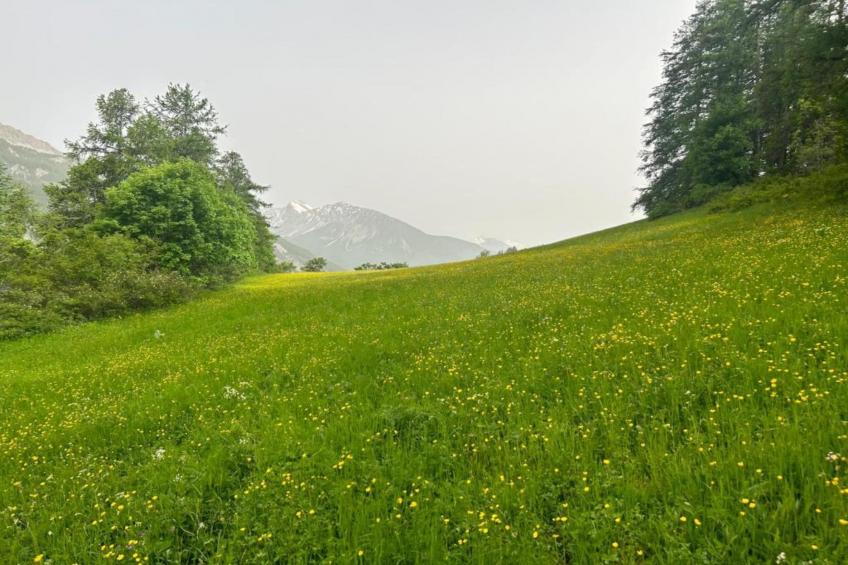 Les Marmottes N°14 - ST4 - foto 21