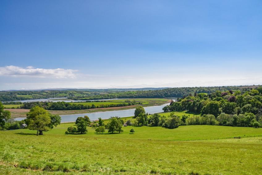 Historic Castle on River Tamar - foto 26