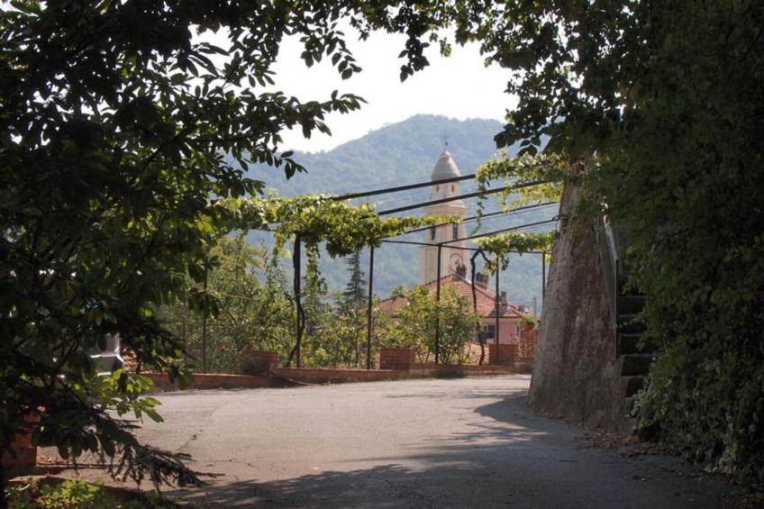 AGRITURISMO BORGO AMENO - TWO-ROOM APT 4 PAX BX4 B401 - foto 19