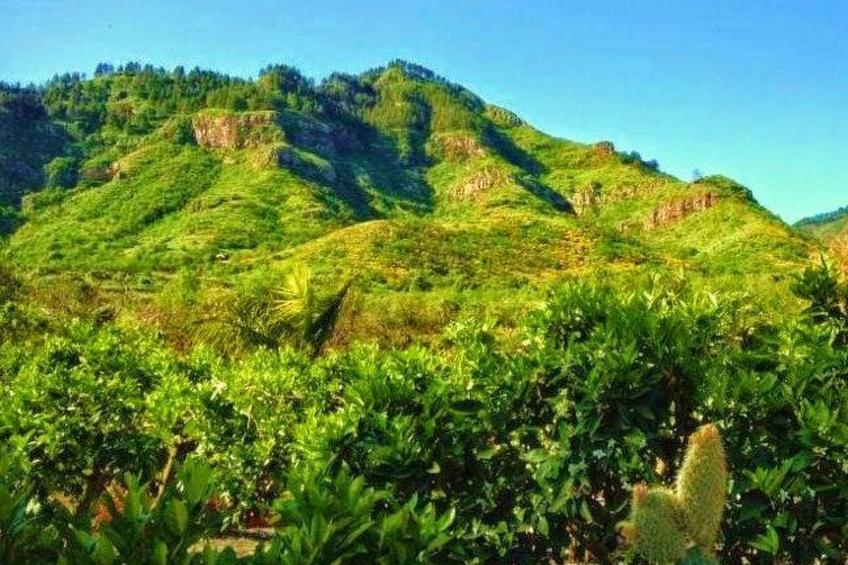 Finca mit Garten, Grill und Terrasse - foto 28