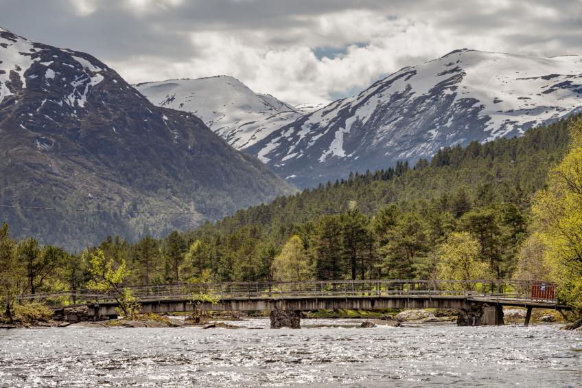 Myravatnet (FJS051) - foto 34