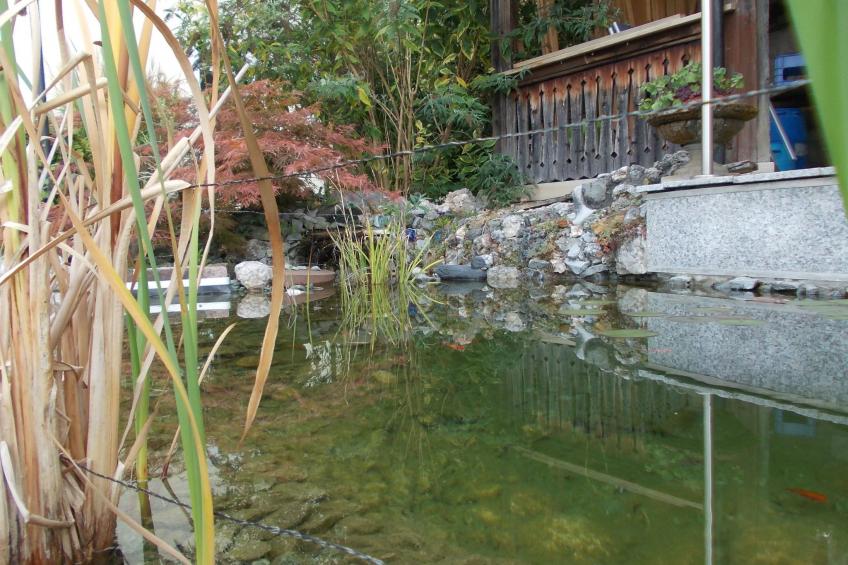 Monterosa in Baden-Baden - foto 17