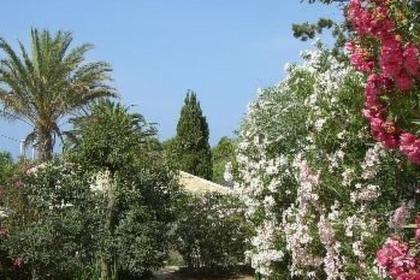 La Perla 8 - foto 25