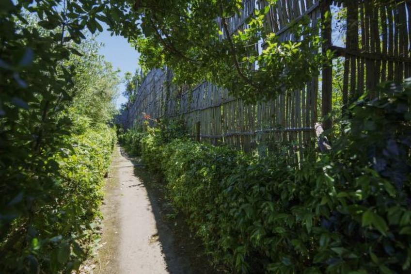 La Veranda di Villa Preziosa al Pizzo - foto 4