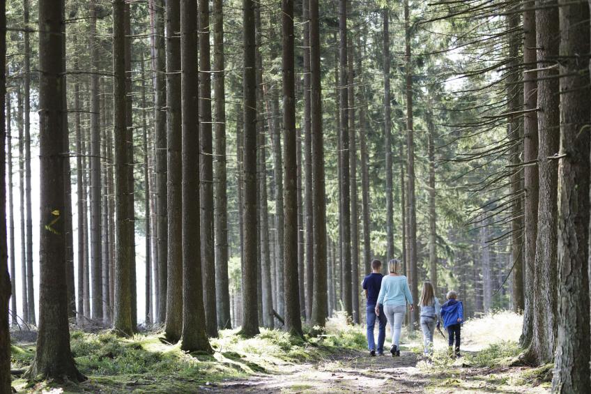 Center Parcs Les Ardennes - foto 17