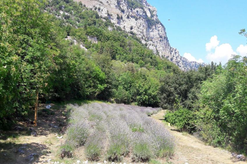 Noelie rez de jardin - foto 14