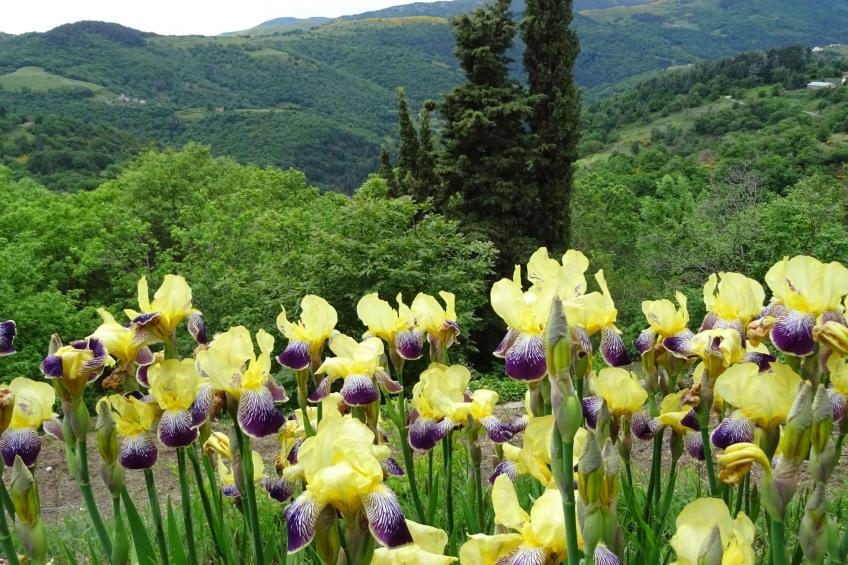Gîte de Chapelèche Les Châtaigniers für 7 Pers. - foto 34
