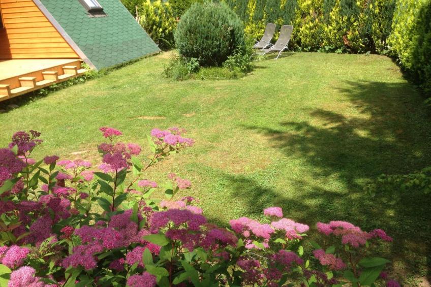 Haus Waldesrauschen - foto 4