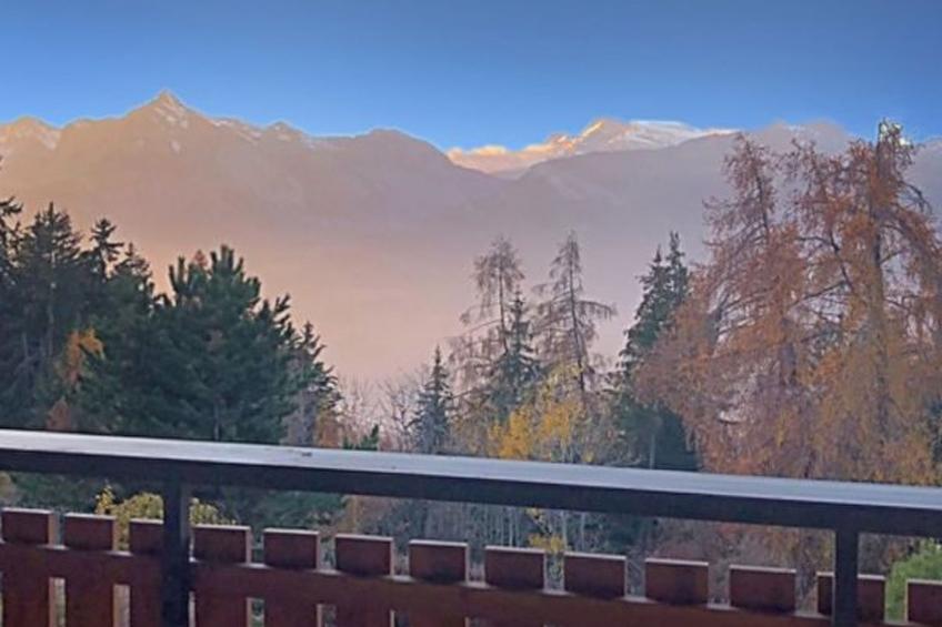 Les Mayens de l'Ours - 4 Vallées - foto 15