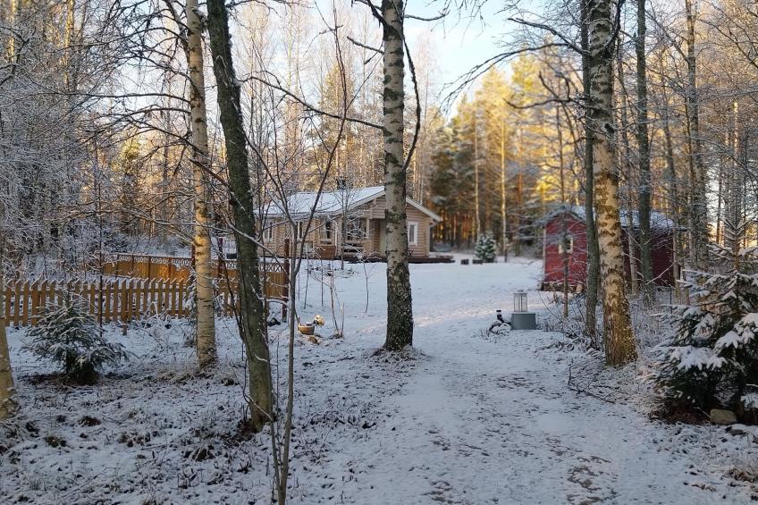 Kesäniitty - foto 29