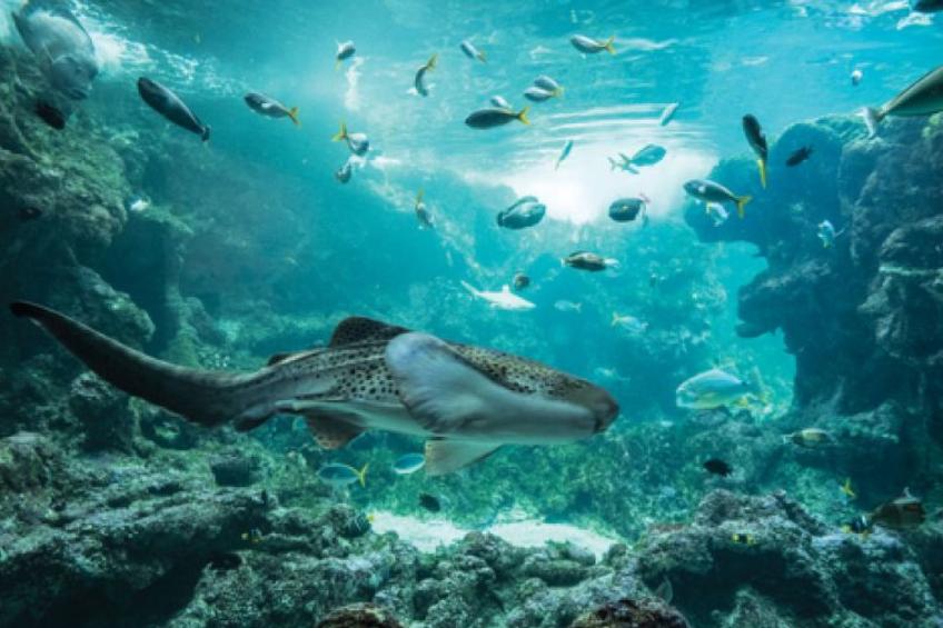 Kleine Wohnung in großem Familienhaus - foto 34