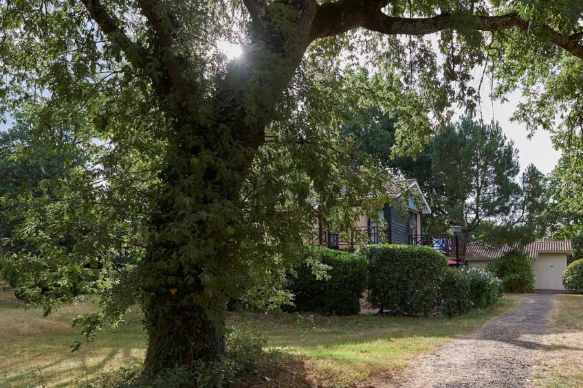 Champagne 6p - foto 28