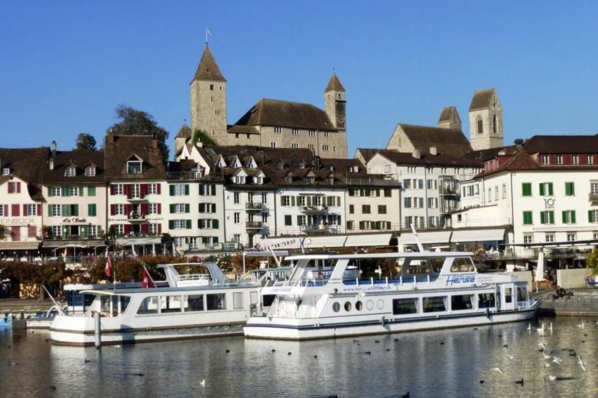 3-Zimmer Ferienwohnung Rapperswil am Zürichsee - foto 24