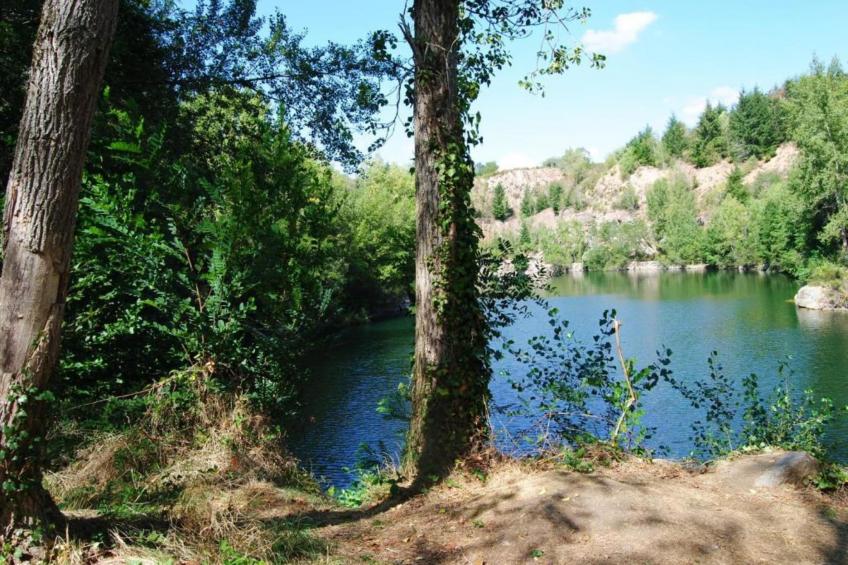 ST CAPRAIS FR-46250-13 - foto 36