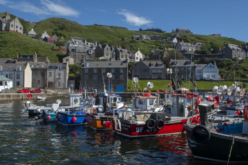 Ellie-Jo Cottage - foto 10