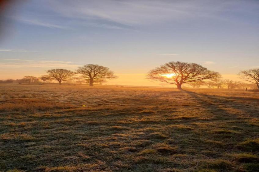 Netley Hall - Poppy - foto 17