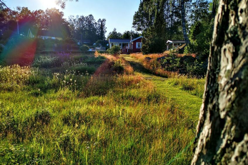 am See Åsunden mit herrlicher Aussicht - foto 32