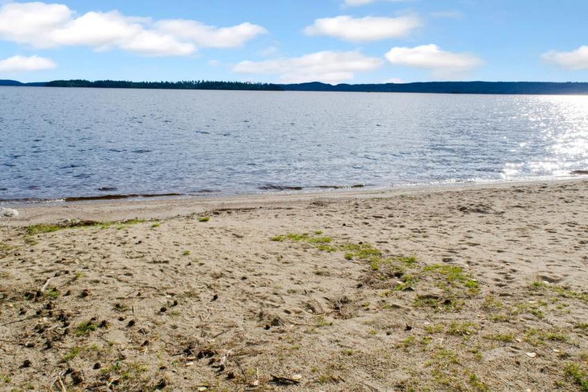 Kulta-käkönen 17 by bomba - foto 19