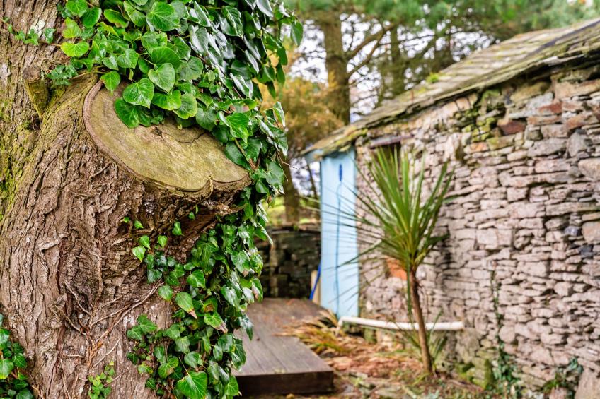 Fisherman's Cottage - foto 29