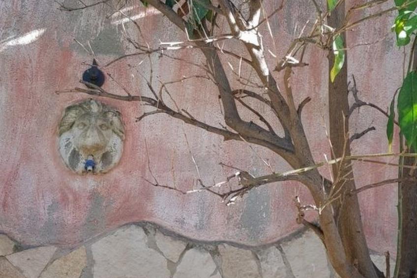 Su Niu Crobu - foto 13