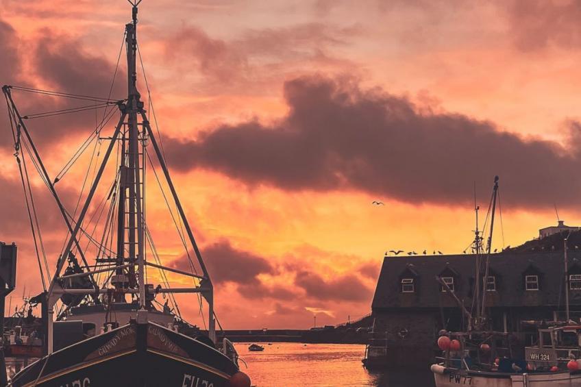 Rosehip Cottage - foto 18